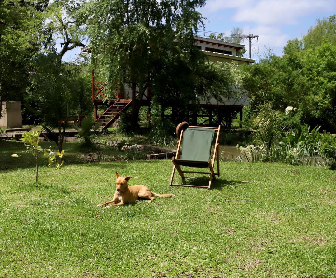Villa Viva La Pepa Cabanas Al Rio. à Tigre Extérieur photo